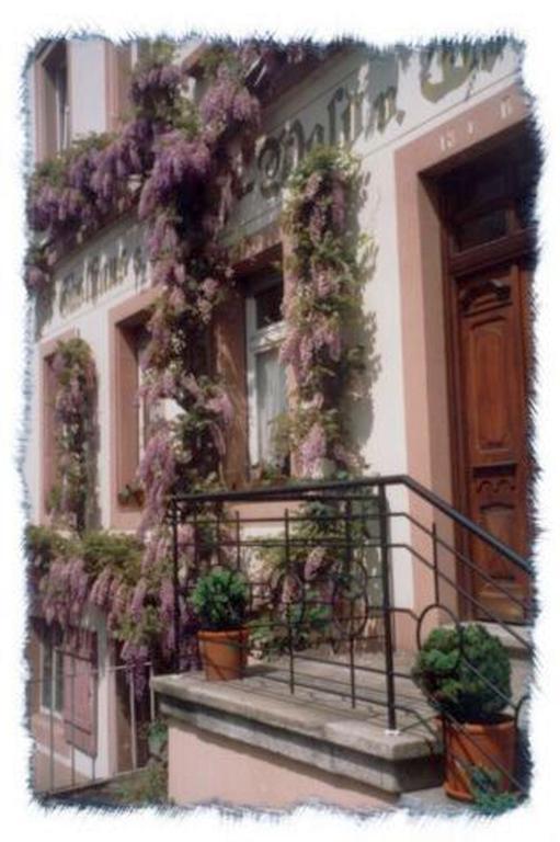 Gasthaus Neupert Lemberg Luaran gambar